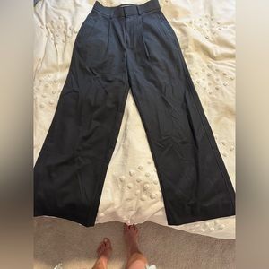 Everlane Way-High Drape Pant